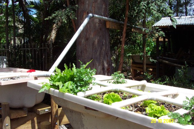 october2007 062 640.JPG