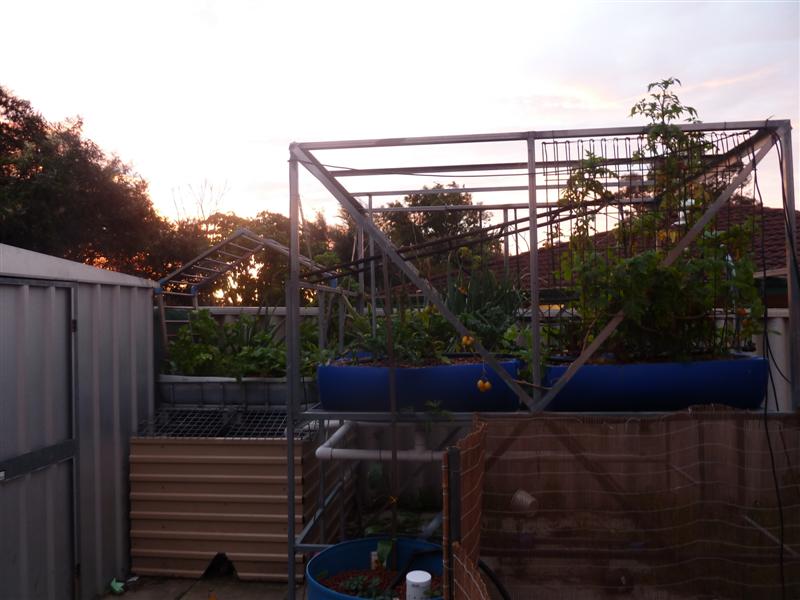 P1040499 (Medium).JPG