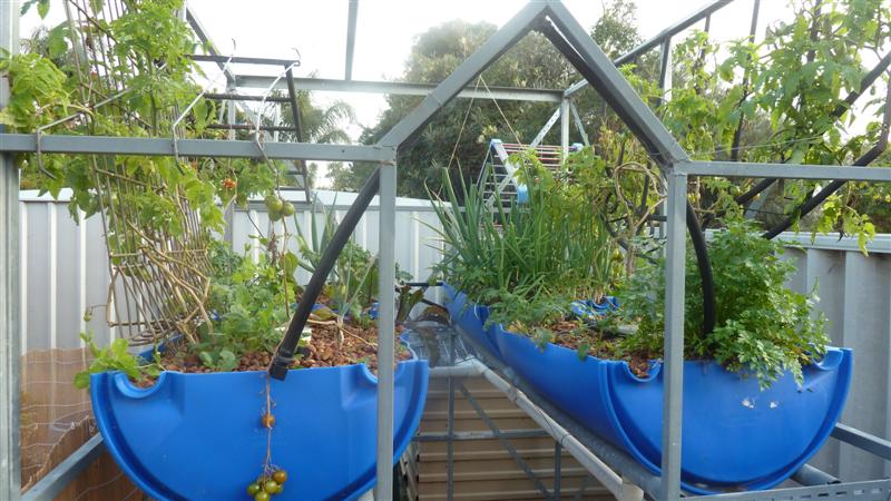 P1040449 (Medium).JPG