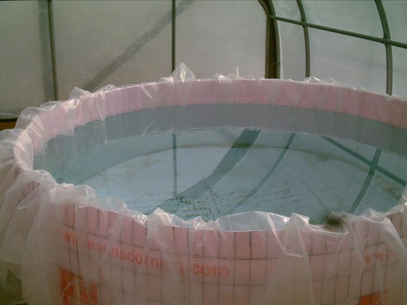 websized_frame tank.JPG