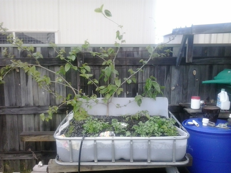 2014-08-18 17.22.48.jpg