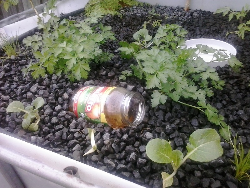 2014-08-18 17.22.55.jpg