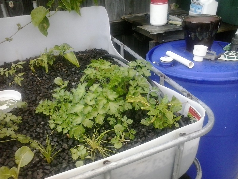 2014-08-18 17.23.04.jpg