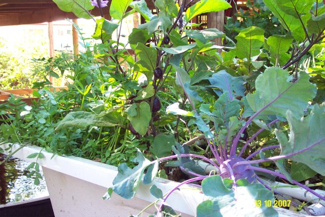 october2007 048 640.JPG