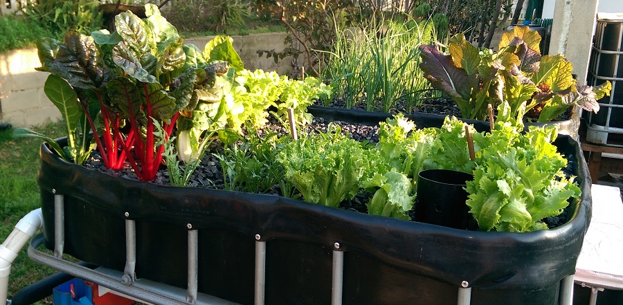 Bed 18-8-2014 rz.jpg