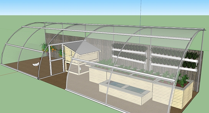 Chicken coop and NFT.jpg