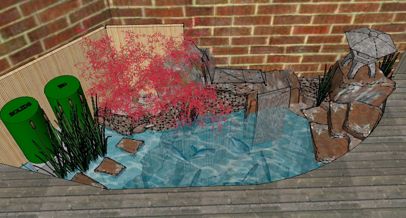 pond build 24_08 resized.jpg