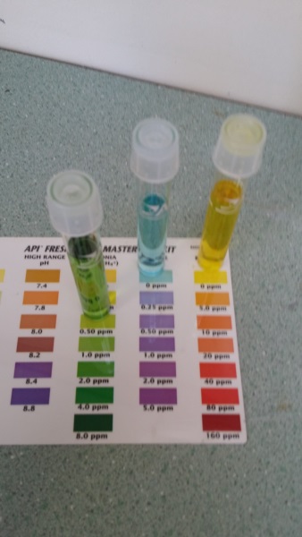 2014-08-24 10.23.44.jpg