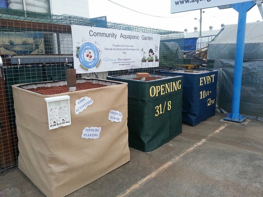 Aquaponics grow beds.jpg