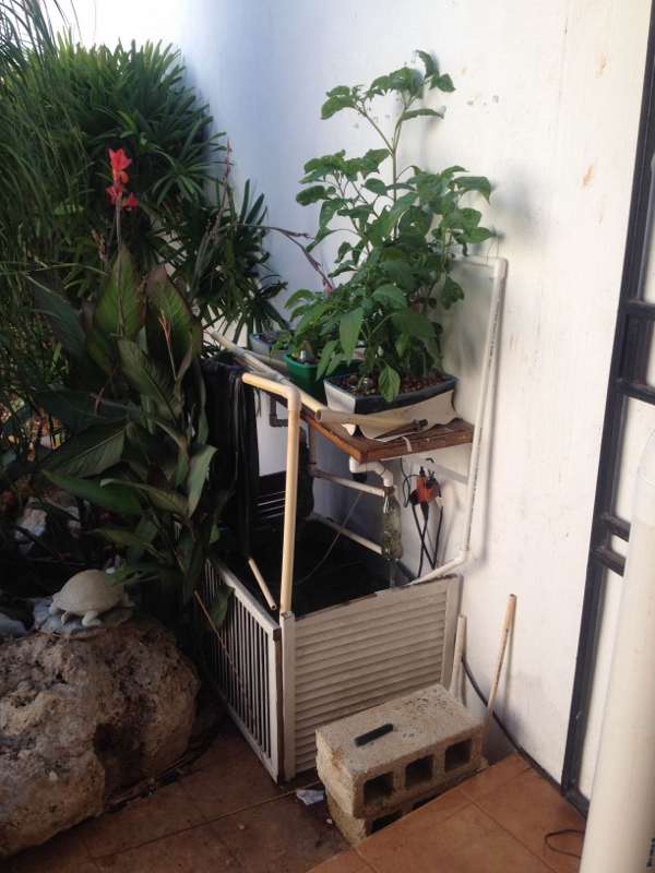 IMG_0022 (600x800).jpg