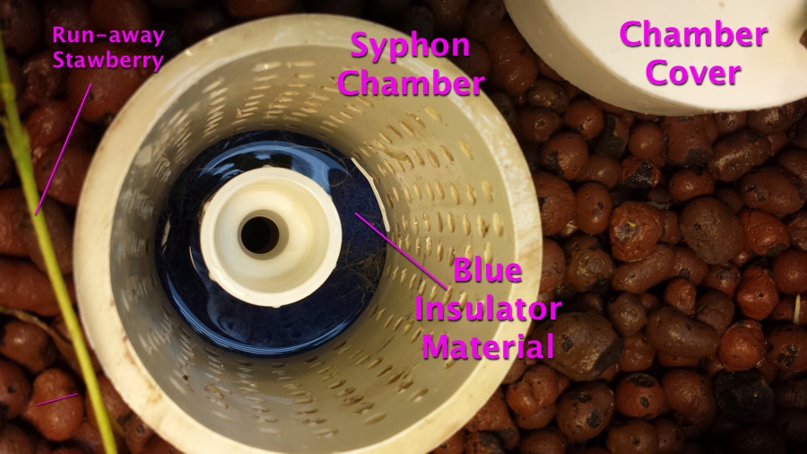 syphon_chamber.jpg