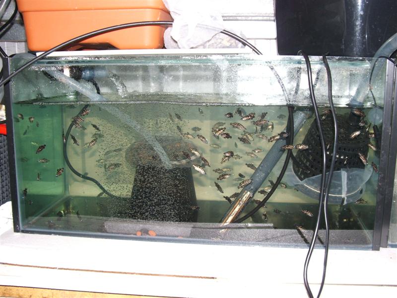 DSCF4539 (Medium).JPG