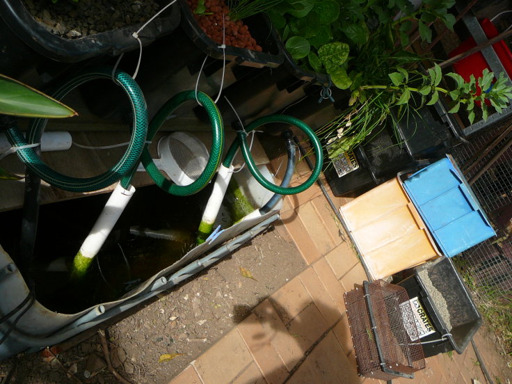 triple loop siphon.jpg