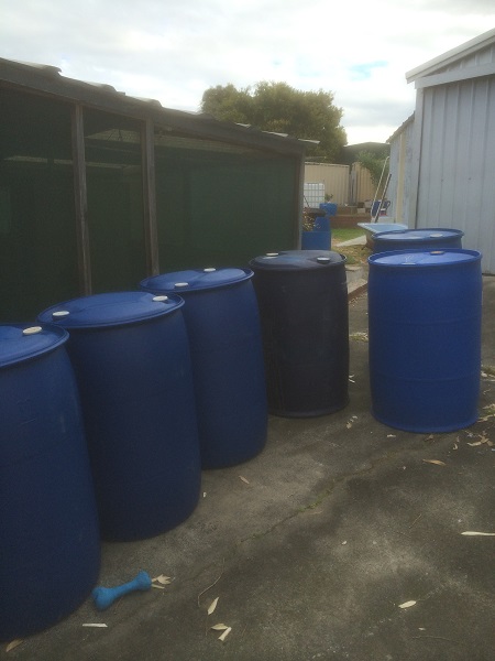 IMG_1257 resized.jpg