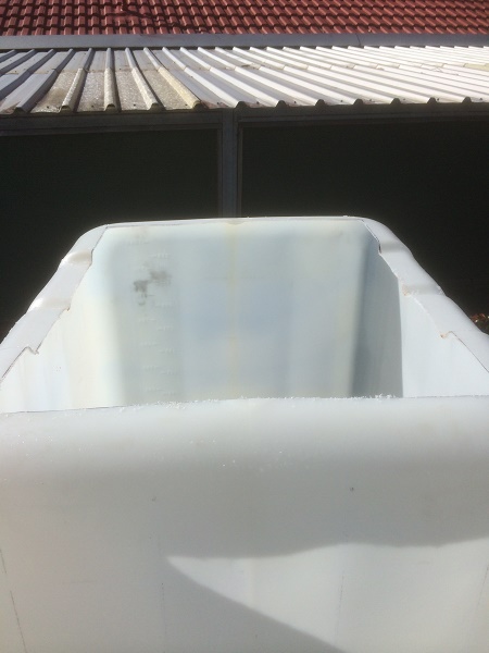 IMG_1242 resized.jpg