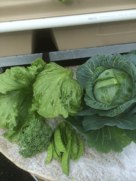 IMG_1236 resized.jpg