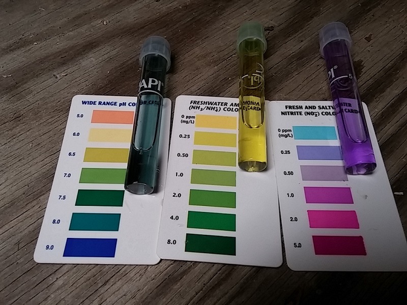 09-03-14 001 800x600.jpg