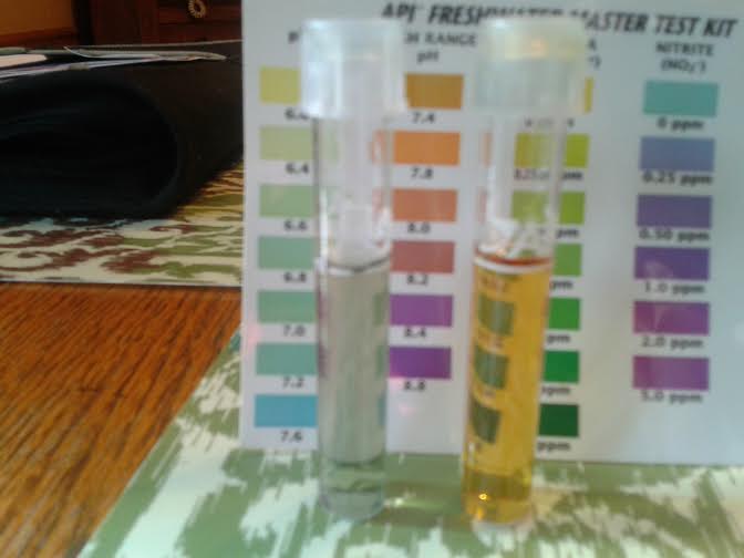 ph test.jpg