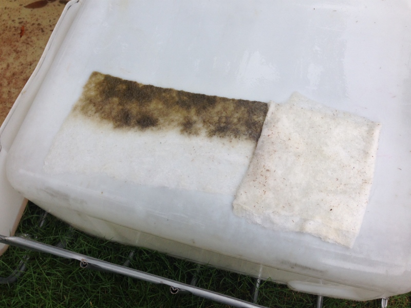 IMG_1973 (800x600).jpg