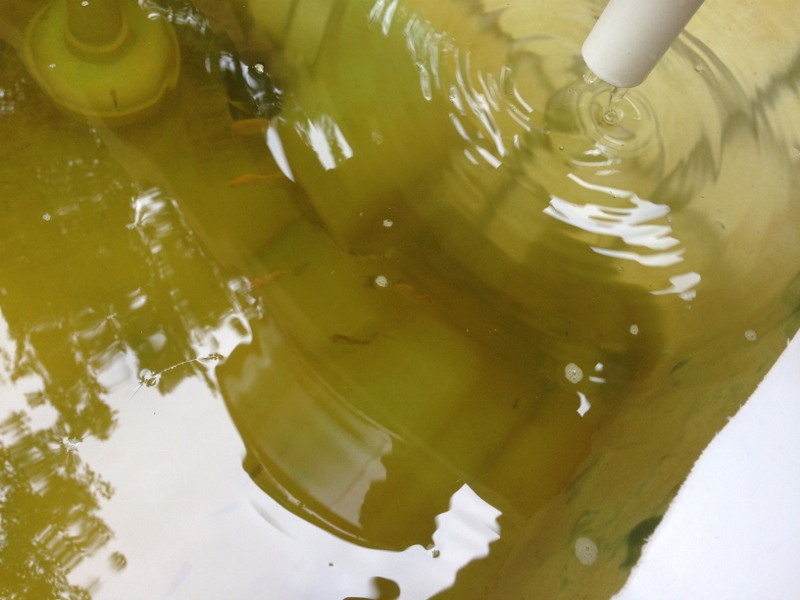 IMG_1975 (800x600).jpg