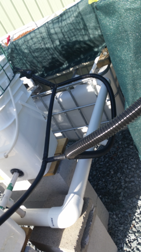 dutchbucket pic 4.png