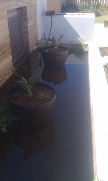 IMAG0444 (359x600).jpg