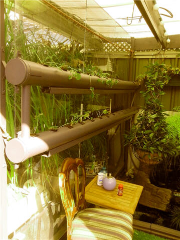 AP-KoiPond System.jpg