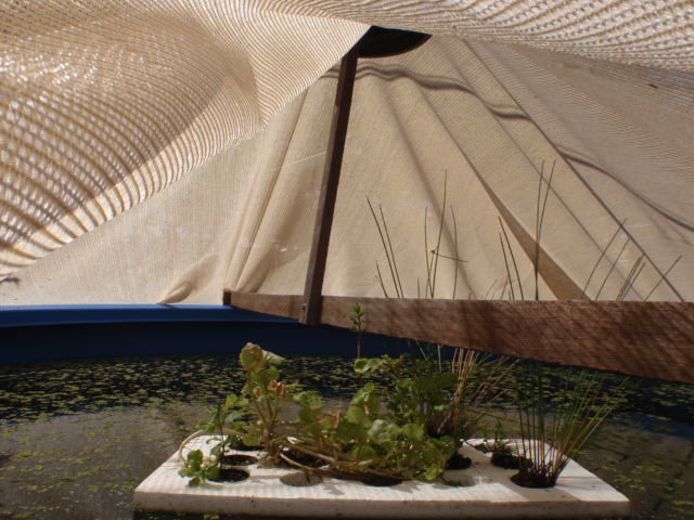 Tempory cover (3) (640x480).jpg