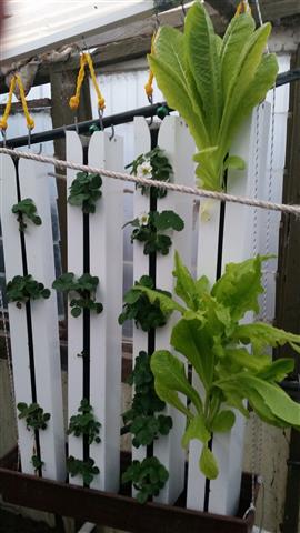 2014-09-15 18.17.08 (Small).jpg