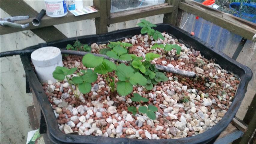 2014-09-15 18.16.57 (Small).jpg