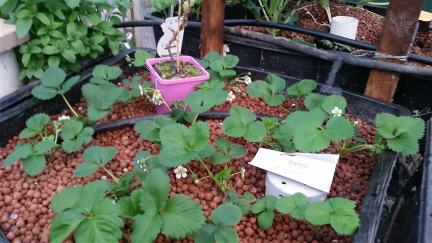 2014-09-15 18.16.37 (Small).jpg