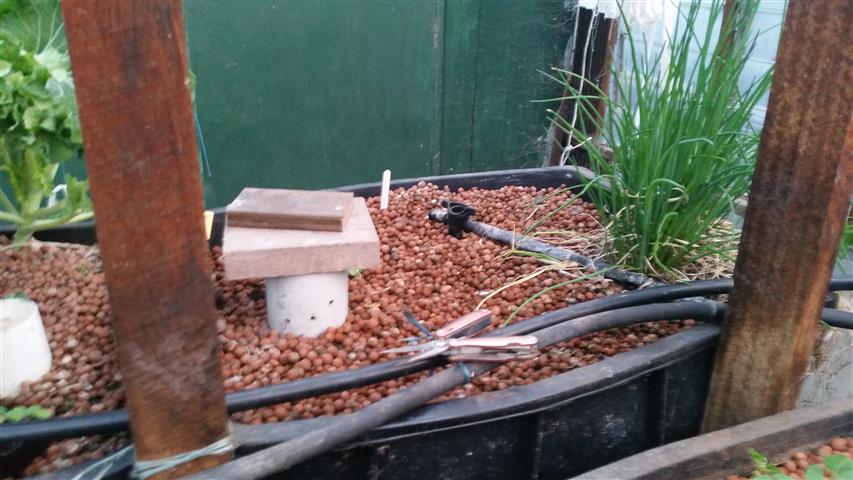 2014-09-15 18.16.52 (Small).jpg