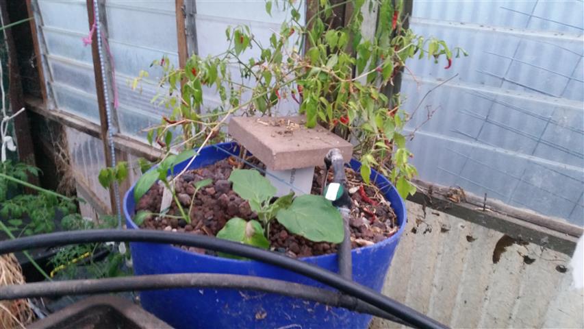 2014-09-15 18.16.45 (Small).jpg