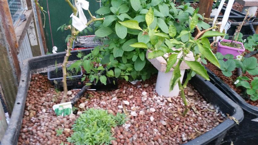 2014-09-15 18.16.23 (Small).jpg