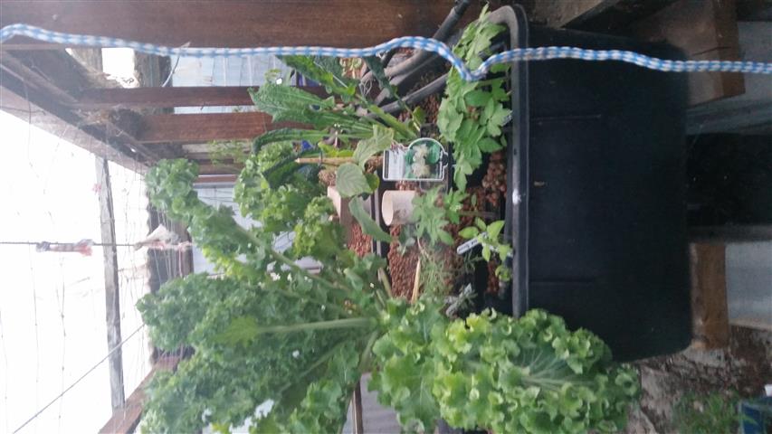 2014-09-15 18.16.07 (Small).jpg