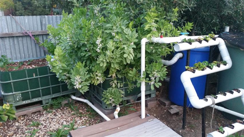 2014-09-15 18.18.21 (Small).jpg