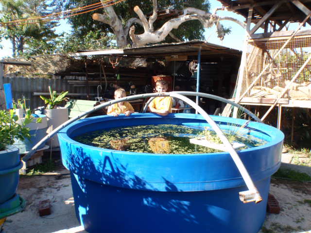 Measure up frame.jpg