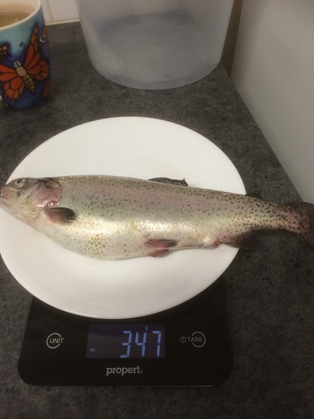 IMG_1300 resized.jpg