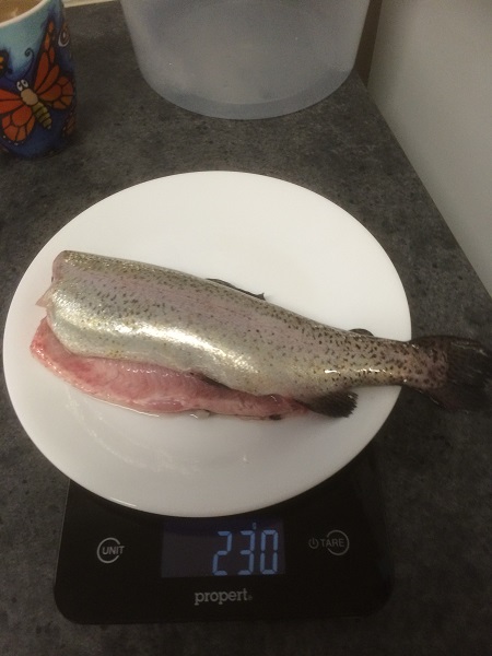 IMG_1301 resized.jpg