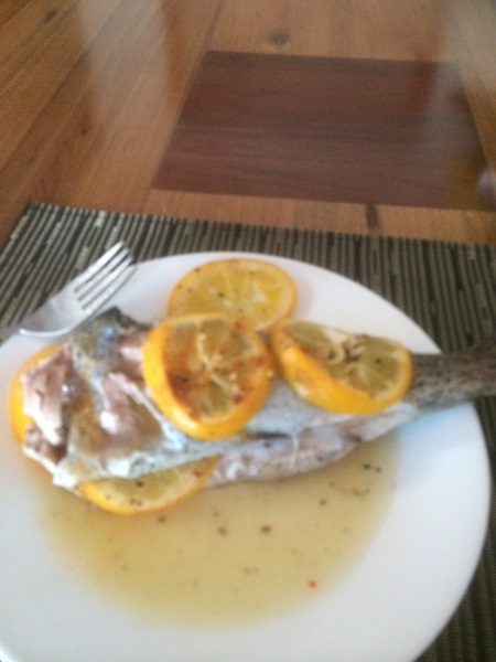 IMG_1306 resized.jpg