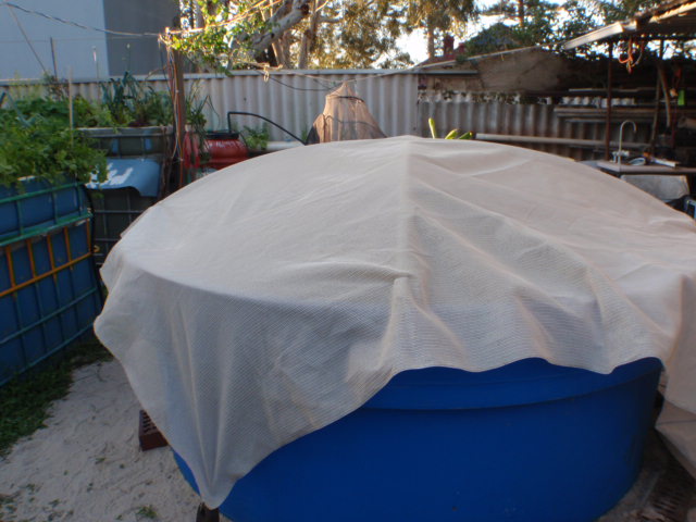replace shadecloth (640x480).jpg