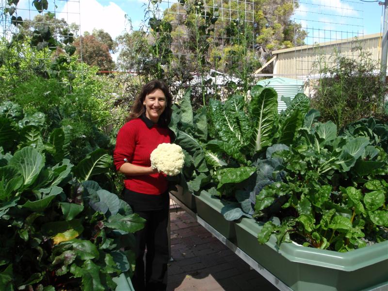 P9200140 (Medium).JPG