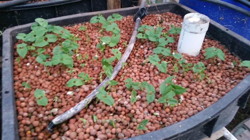 2014-09-15 18.16.41 (Small).jpg