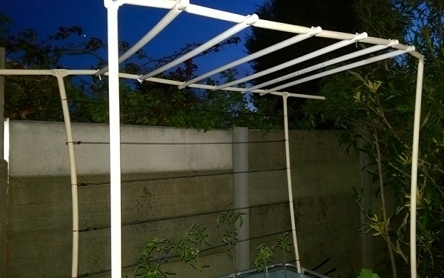 DWC Trellis almost done.jpg