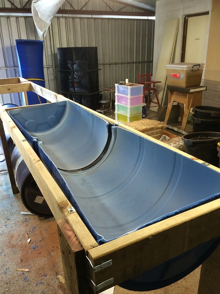 IMG_1332 resized.jpg