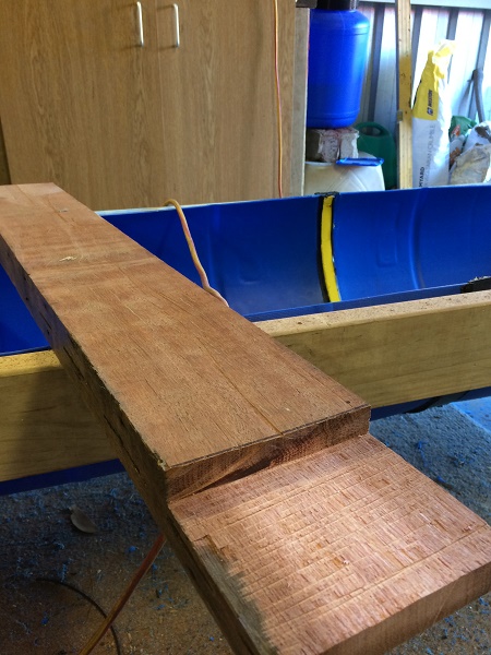 IMG_1329 resized.jpg