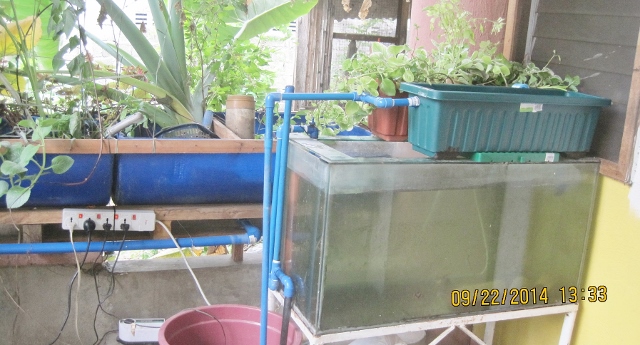 Current setting (640x345).jpg