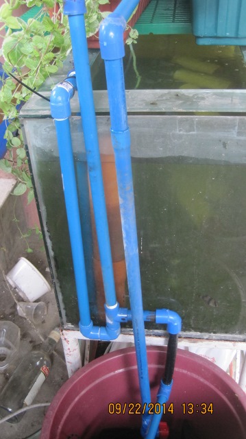 IMG_3876 (359x640).jpg