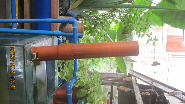 16 inch long (640x359).jpg