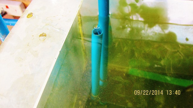 IMG_3888 (640x359).jpg